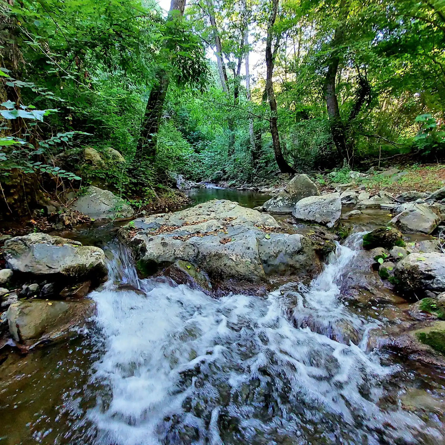 Xtreme aqua wild experience lungo il corso del torrente salti d'acqua