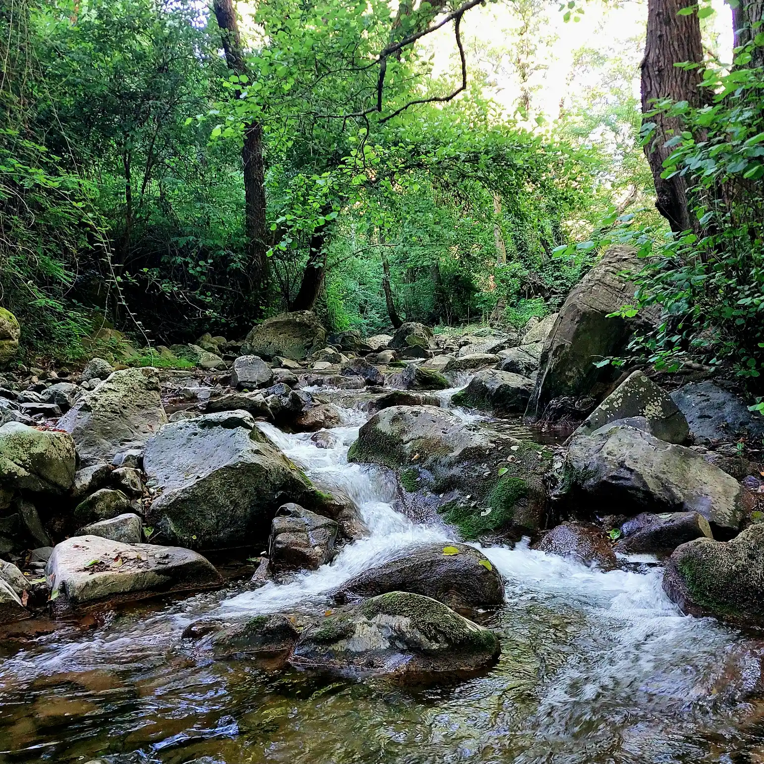 Xtreme aqua wild experience lungo il corso del torrente