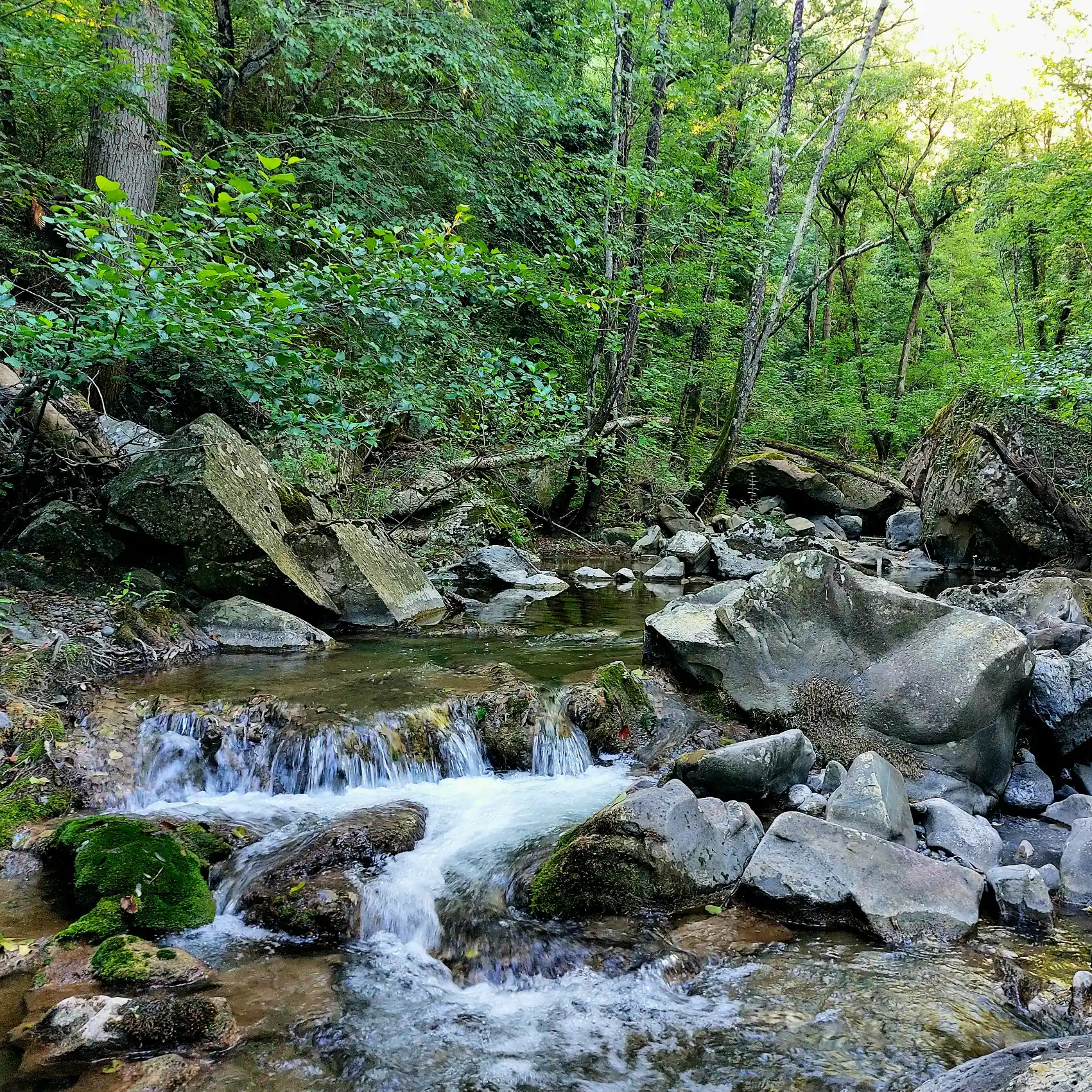 Xtreme aqua wild experience lungo vista il corso del torrente