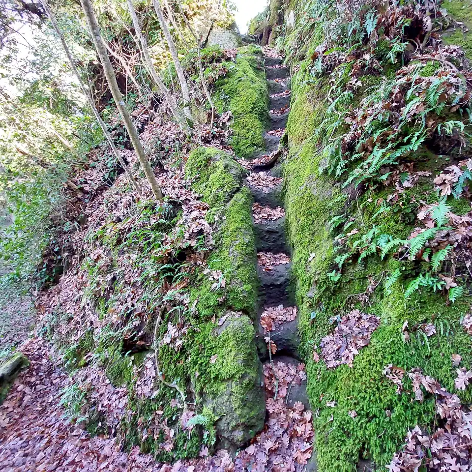 Monumento naturale di Corviano e Cascata del Martelluzzo la scala etrusca