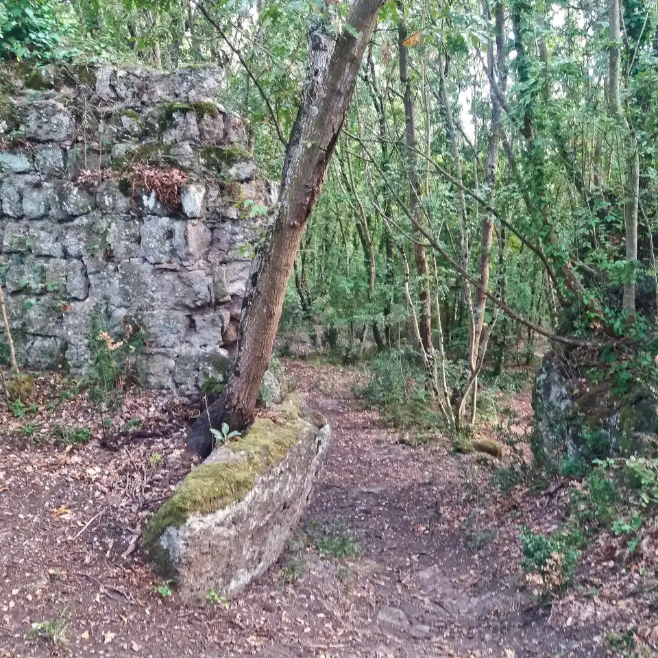Monumento naturale di Corviano e Cascata del Martelluzzo mura del castello