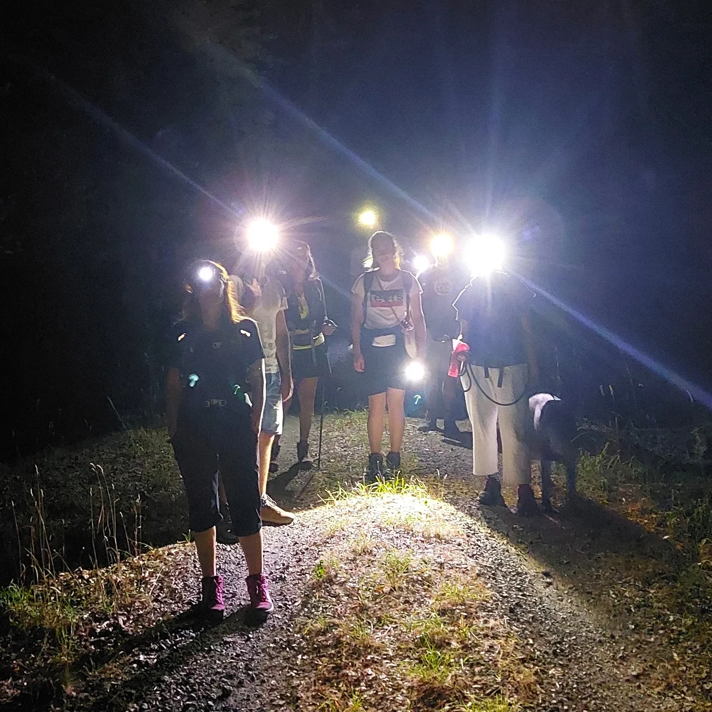 Monumento naturale di Corviano e Cascata del Martelluzzo camminare nel bosco di notte