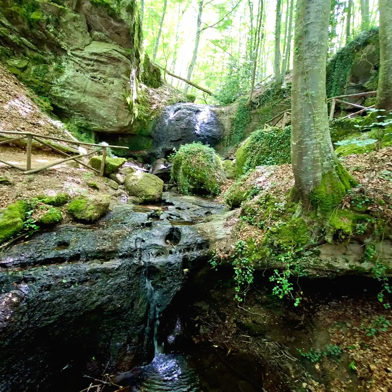 Vivo d'Orcia Cascata dello Scodellino