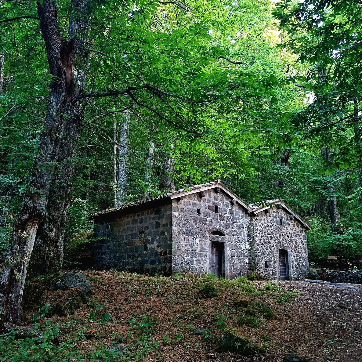Vivo d'Orcia Ermitello