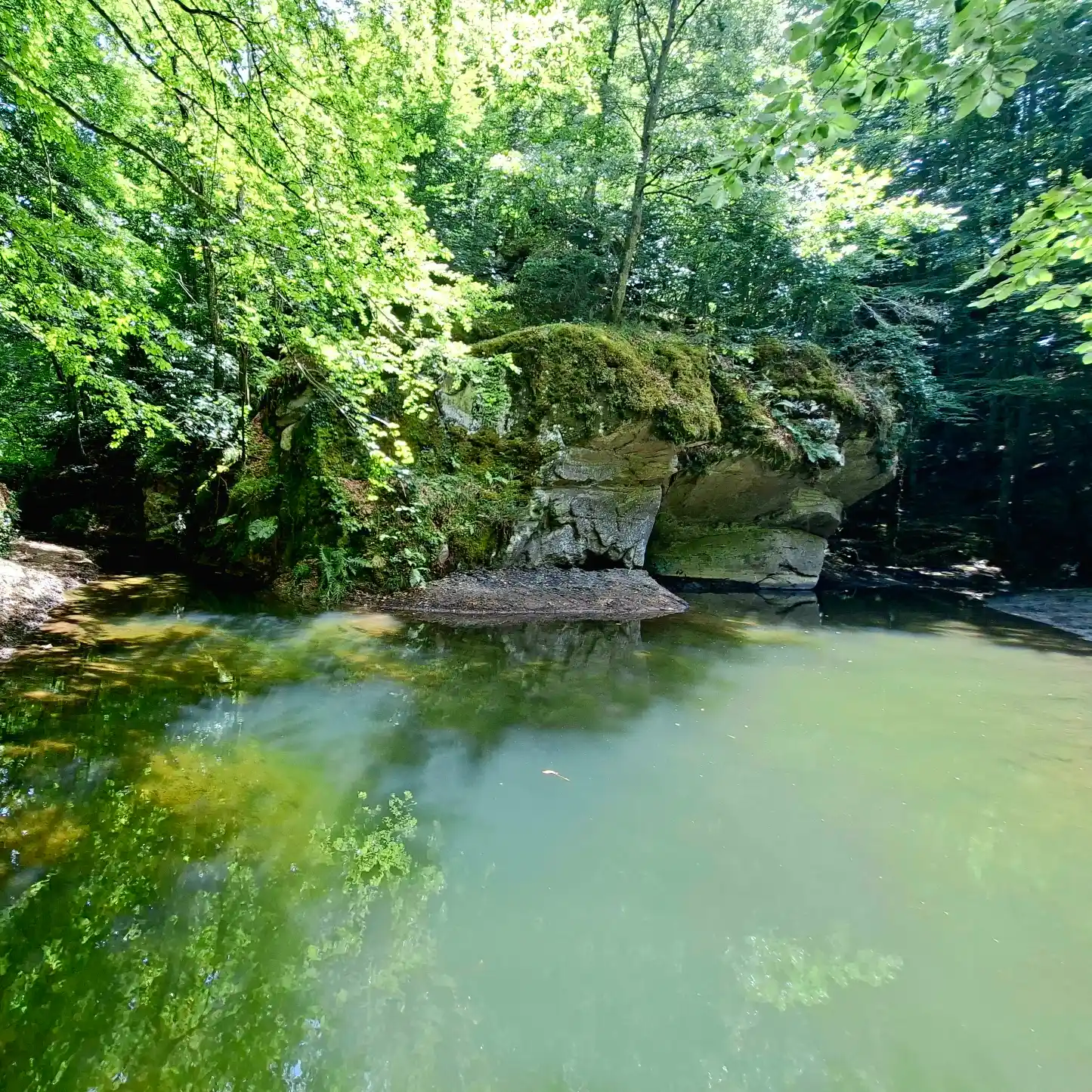 Vivo d'Orcia Laghetto dello Scodellino