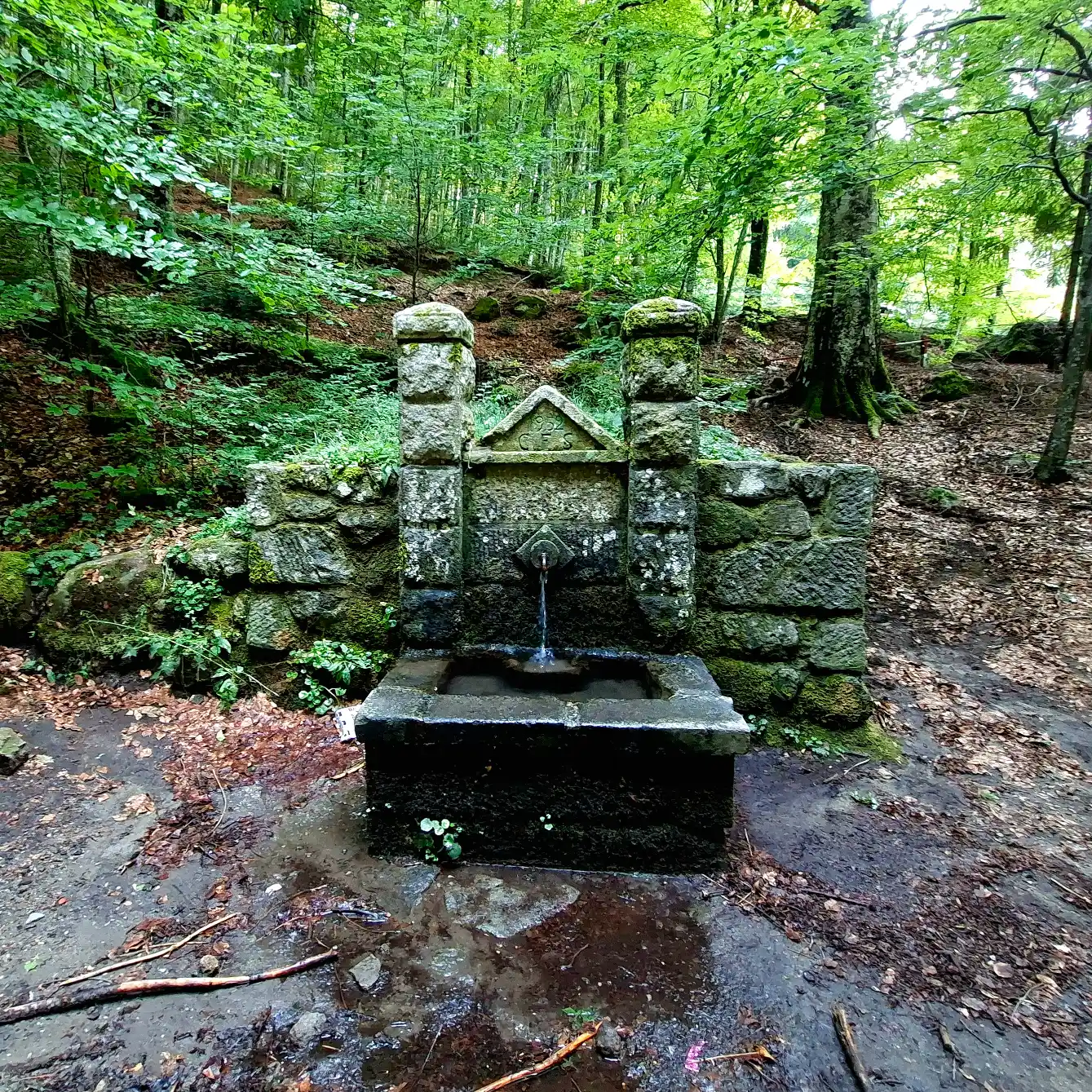 Vivo d'Orcia Sorgente Capovetra