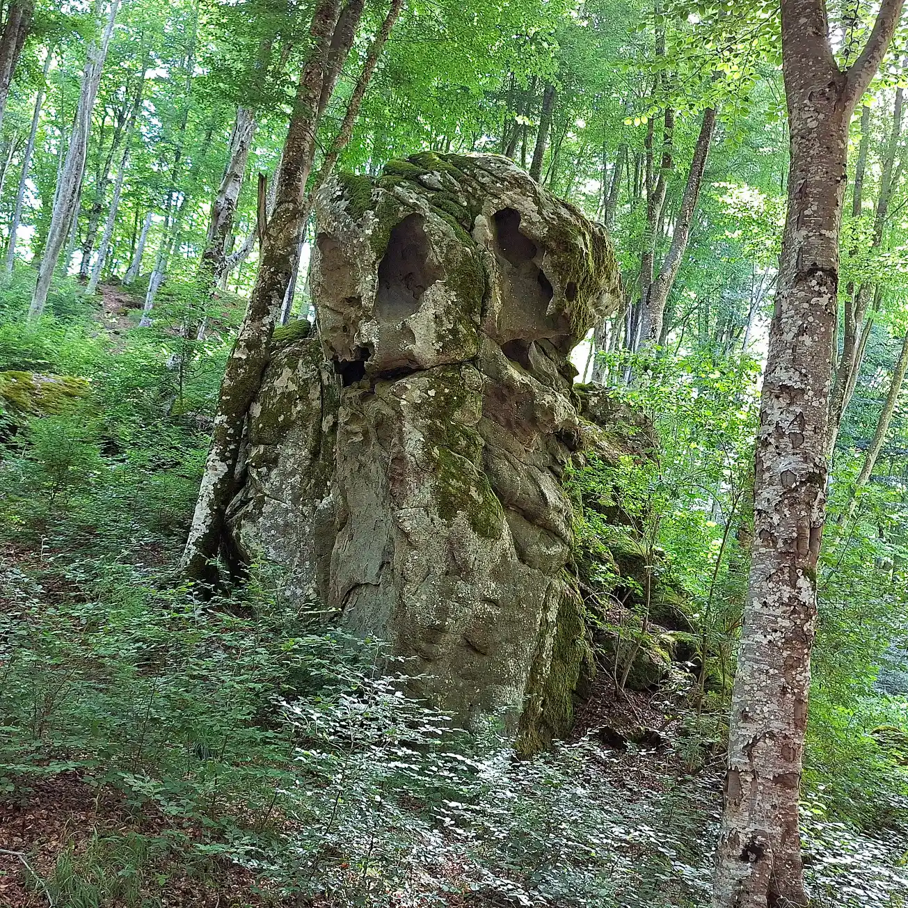 Vivo d'Orcia masso trachitico